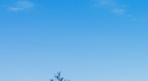 Stonelake Apartments Homes | Apartments in ELK GROVE, CA